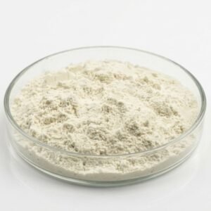 Aloe Vera Extract Powder-200X