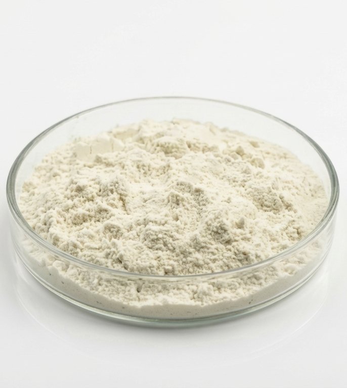 Aloe Vera Extract Powder-200X