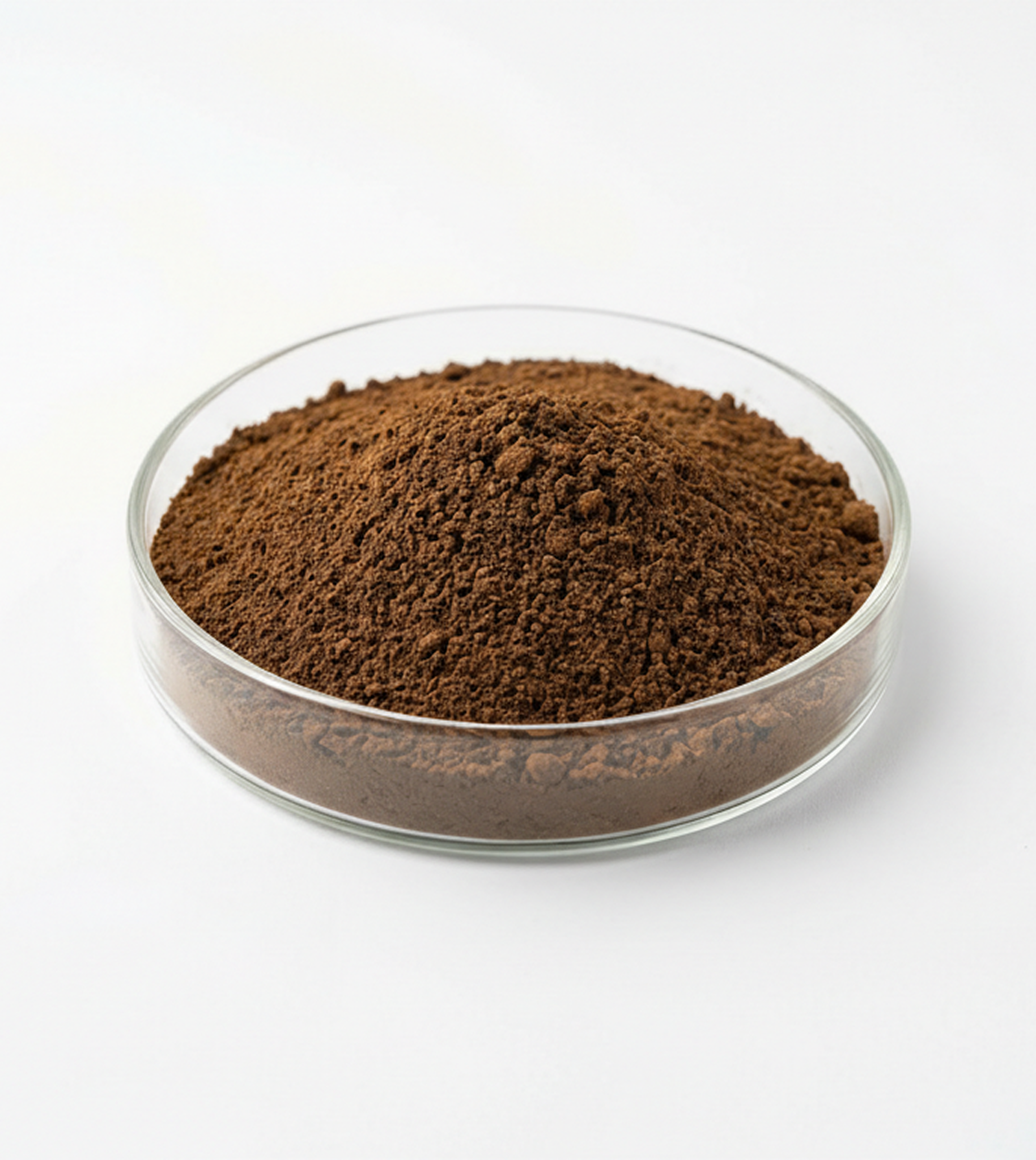 Chaga Mushroom Extract Powder
