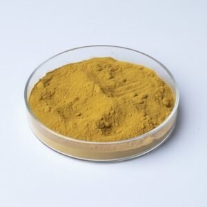 Echinacea Extract Powder
