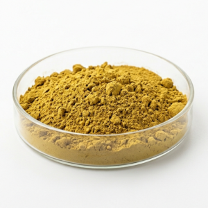 Evening Primrose Extract Powder