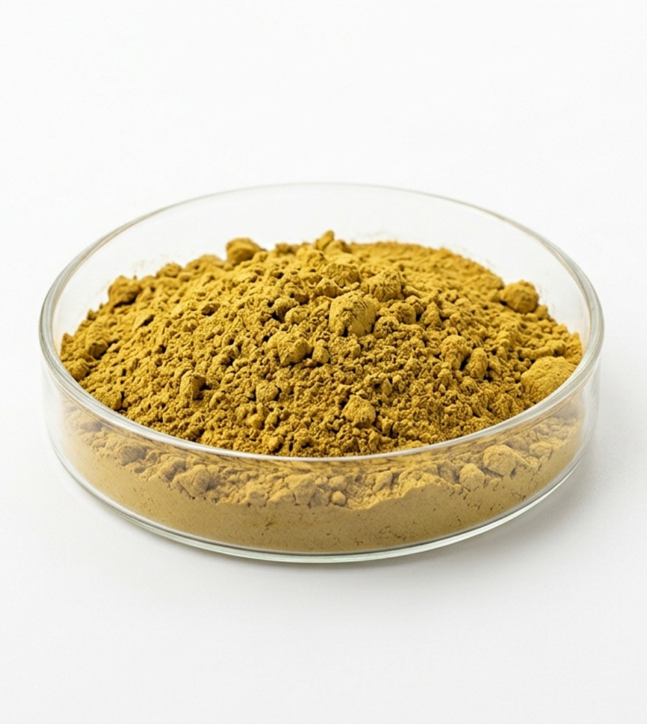 Evening Primrose Extract Powder