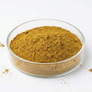 Horse Weed Extract Powder