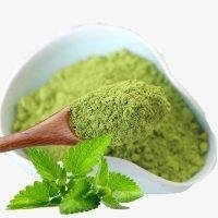 Mint Leaves