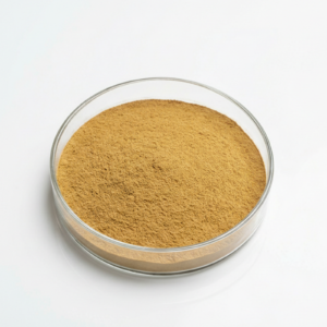 Shiitake Mushroom Extract Powder