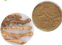 Volufiline Extract Powder