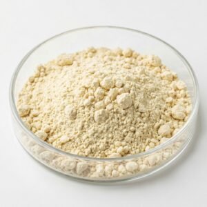 Snail Extract Powder