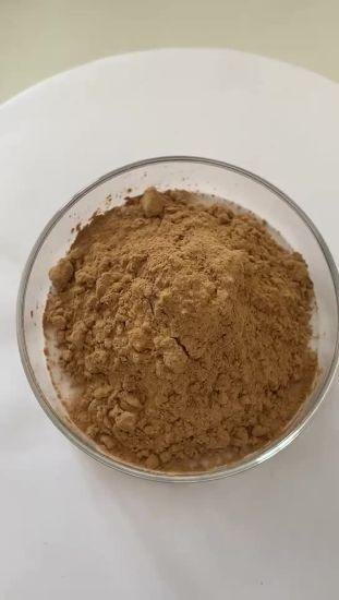 Bear-berry Leaf Extract Powder - Image 2