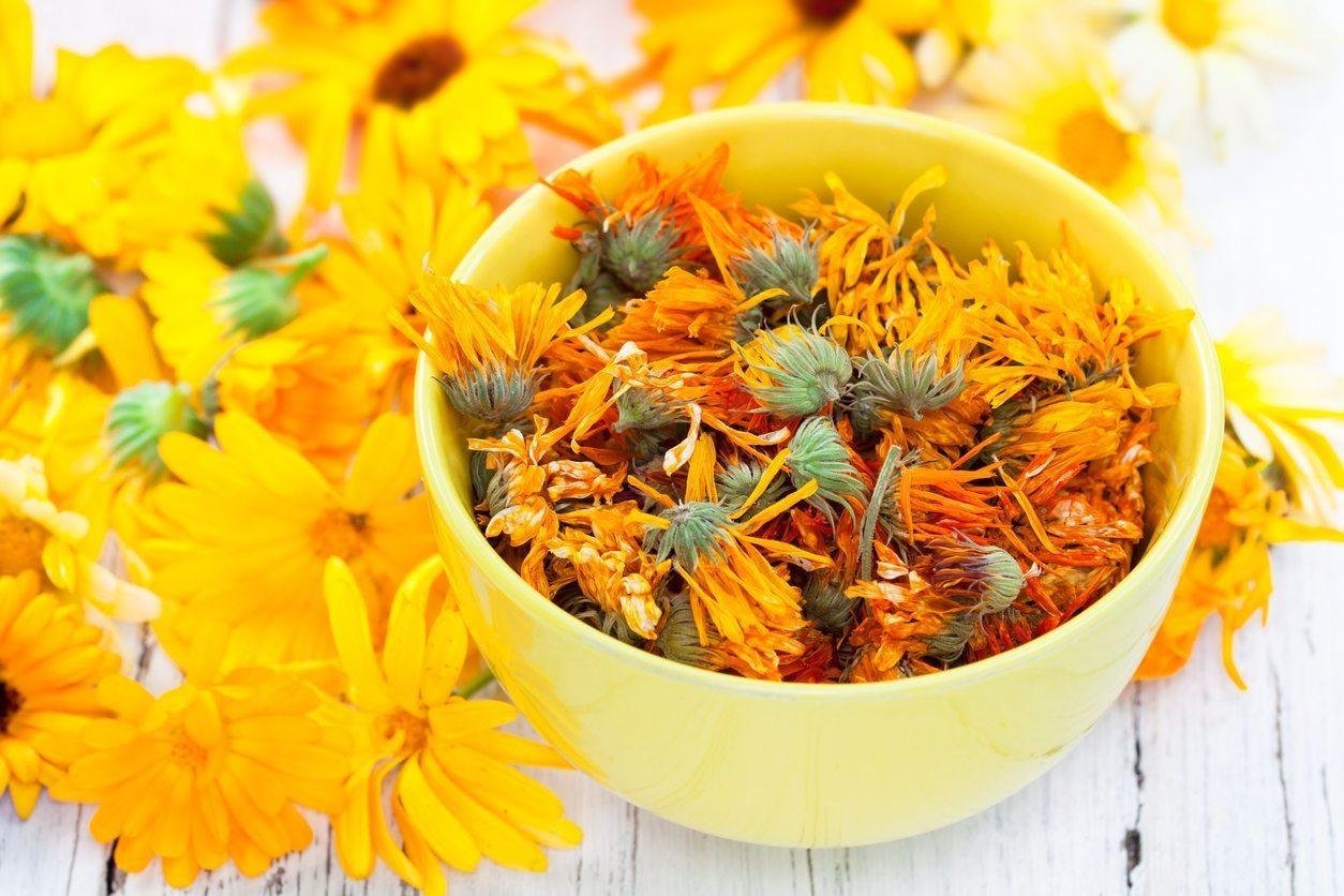 Dried Calendula Petals - Image 3