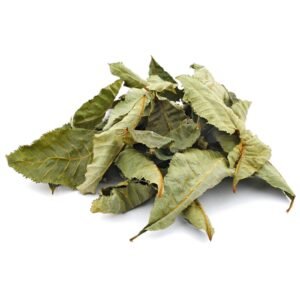 Horse Chestnut Leaves