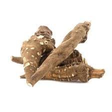 Monkshood Root